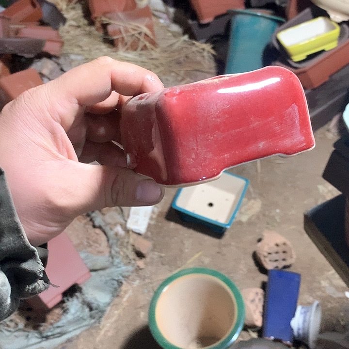 紫砂哈哈真的是太给力太