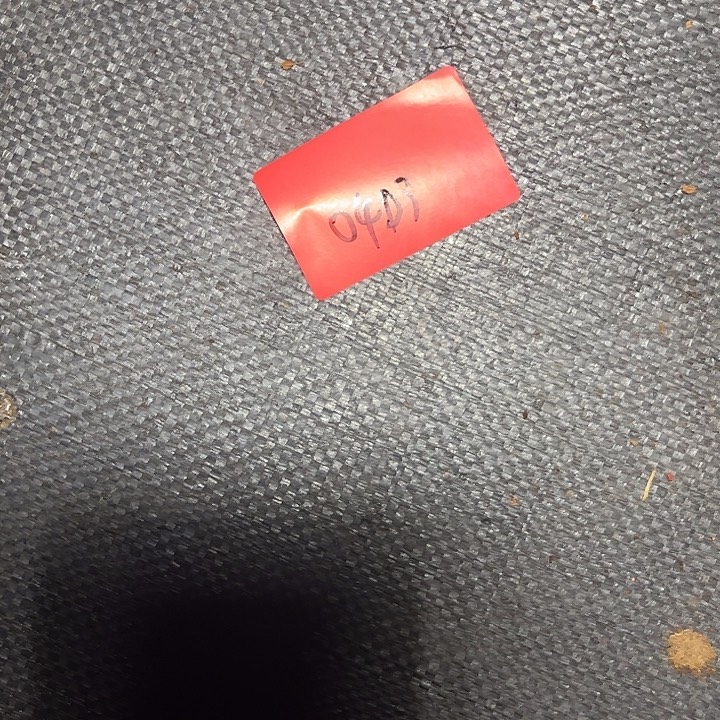 系***中多肉植物保护专业，土