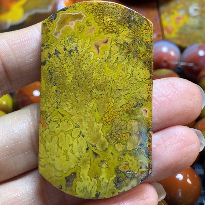 玛瑙/玉髓战国红吊坠未镶嵌