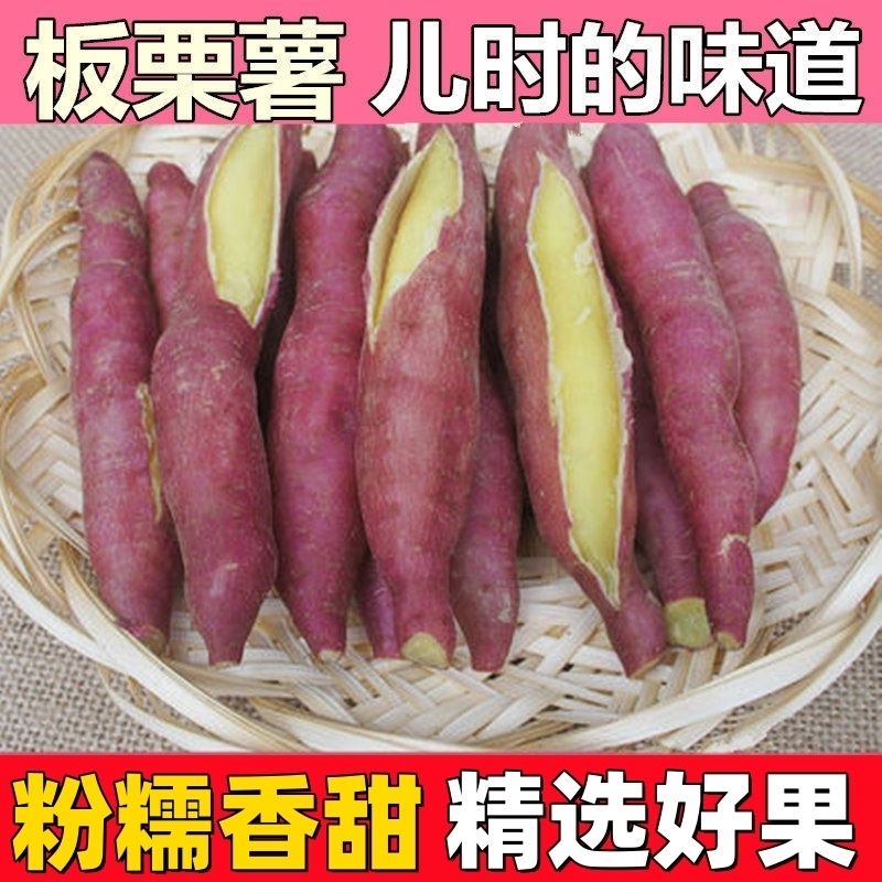 【中大果】陕西板栗红薯新鲜番薯粉糯香甜现挖红署红苕当季新鲜地瓜