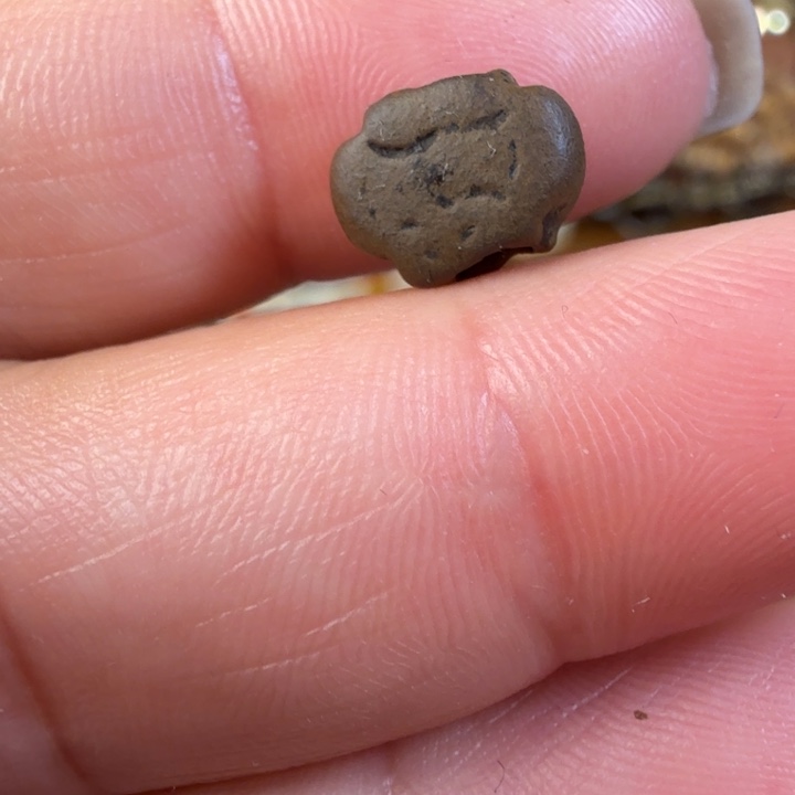 金属材质背云一个