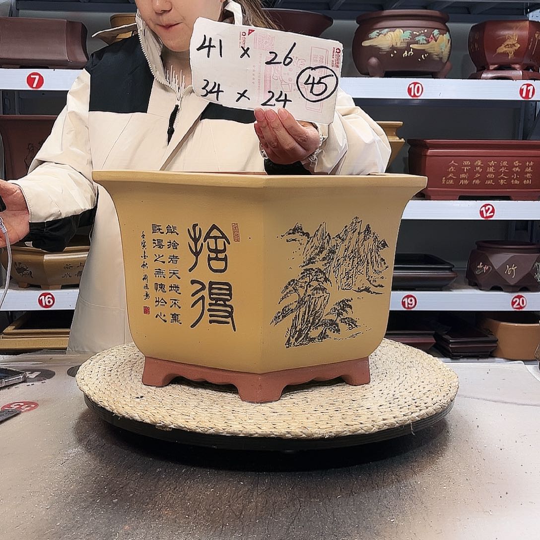 花盆紫砂紫砂花盆里