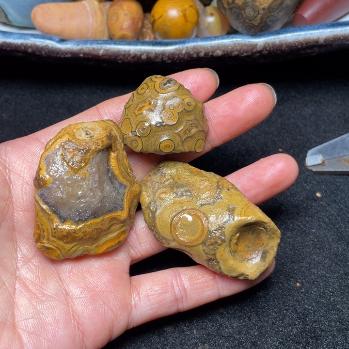 石材九眼页岩钱币石原石127