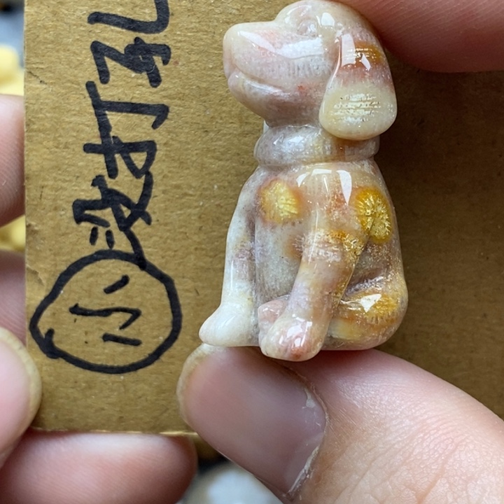 硅化珊瑚（珊瑚玉）未镶嵌颈饰