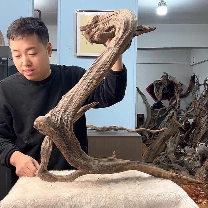 柏木就**语我们的生活是以自己为中心