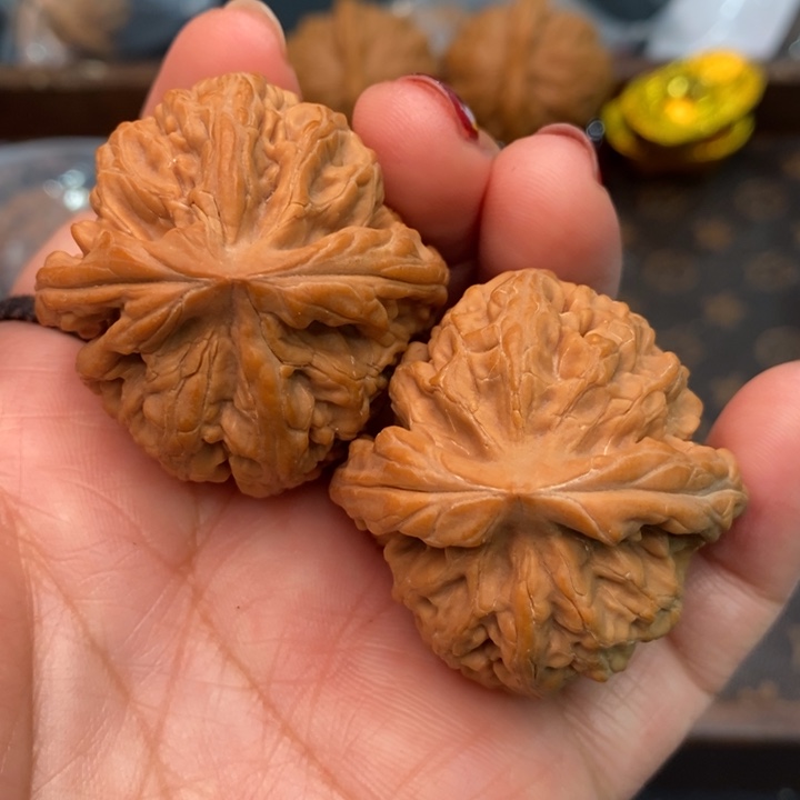 核桃红锦鲤40尺核桃