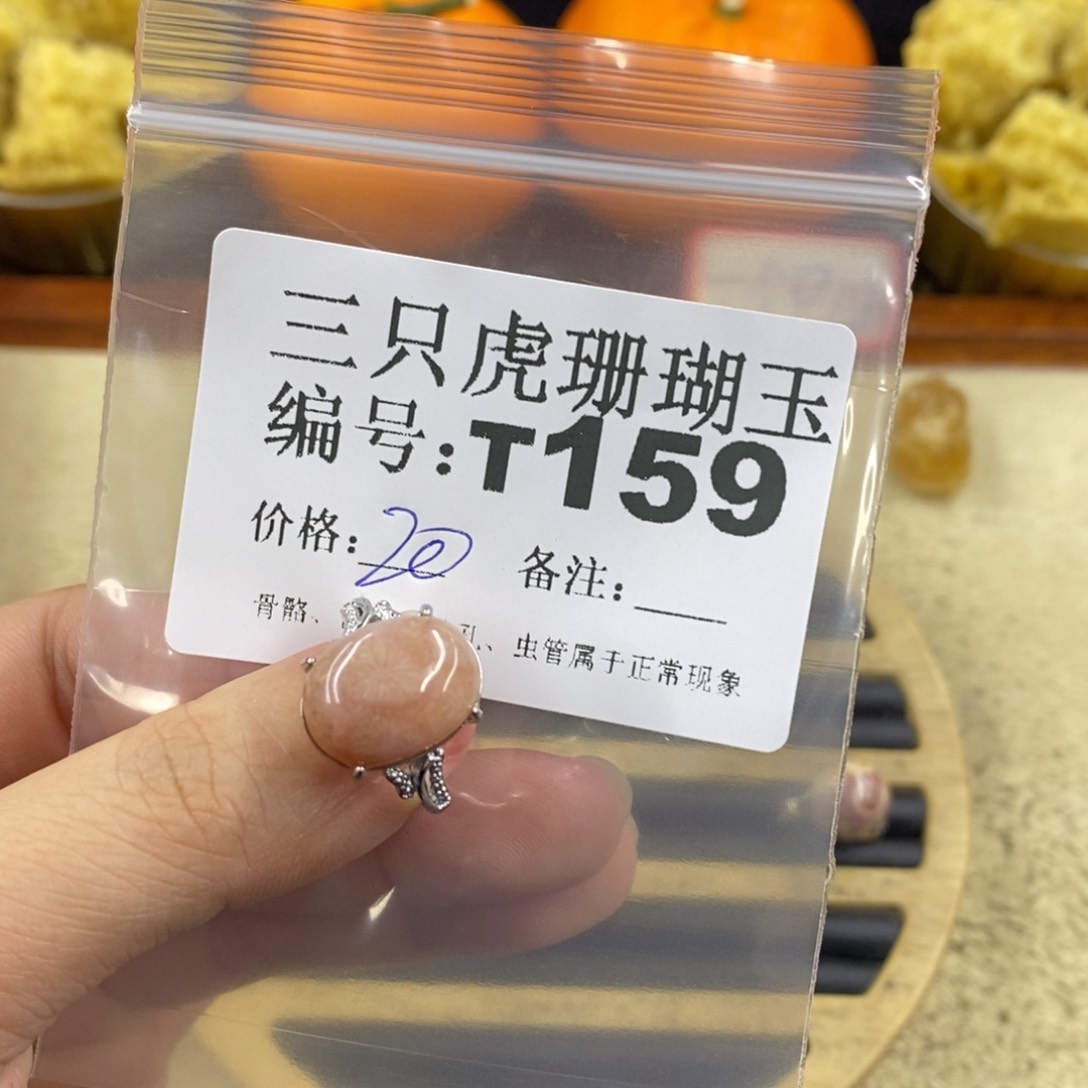 硅化珊瑚（珊瑚玉）1未镶嵌傲*