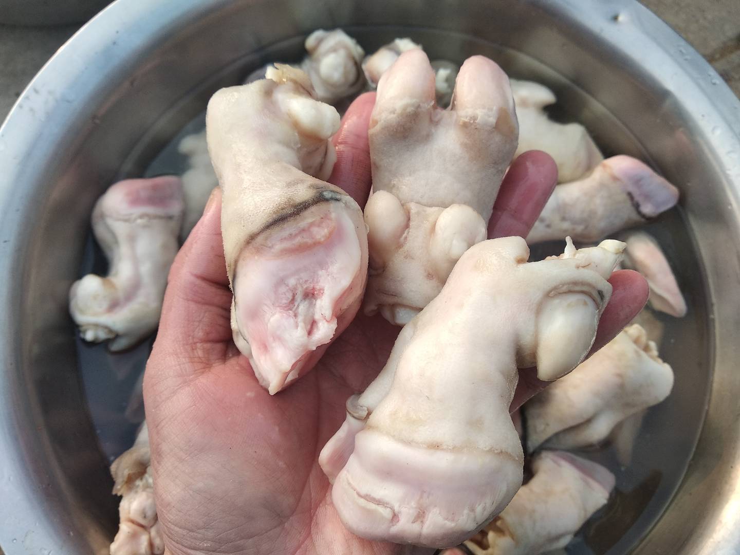 单县山羊羊蹄新鲜生羊肉羊杂羊脚带筋羊蹄子生羊下货2斤装包邮