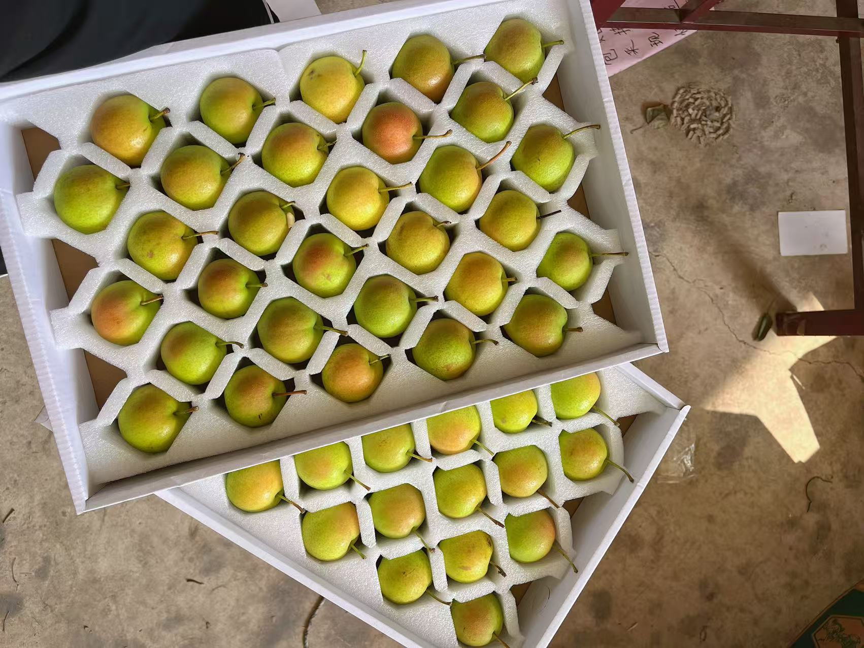 高山阳面红脸小果
