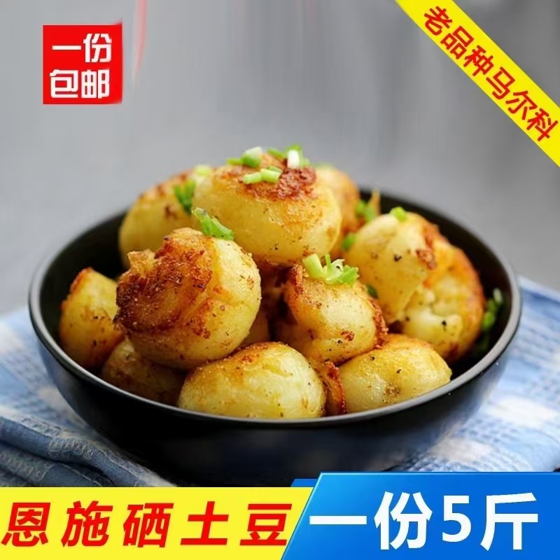 2025年恩施新土豆洋芋马尔科土豆老品种包邮