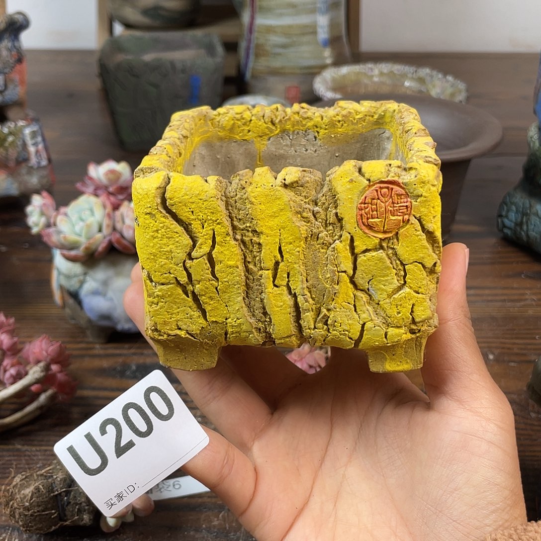 默认微次 跨年福利 坛子姐花盆