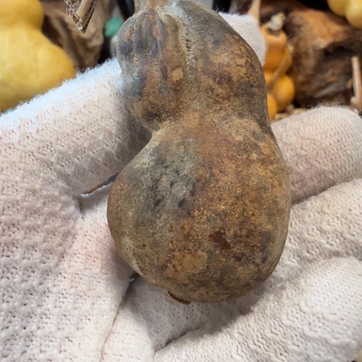 随***好66666666666666767777