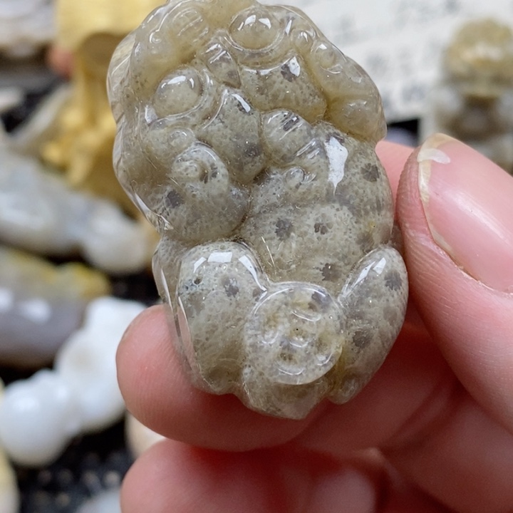 颈饰未镶嵌硅化珊瑚（珊瑚玉）有瑕