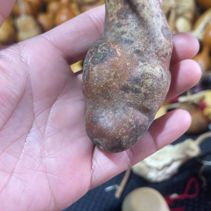 森***e葫芦葫哈哈哈哈哈哈