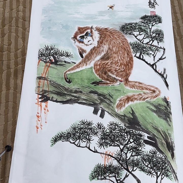 国画趣**集花鸟等多种鸟类的栖息地和栖息地