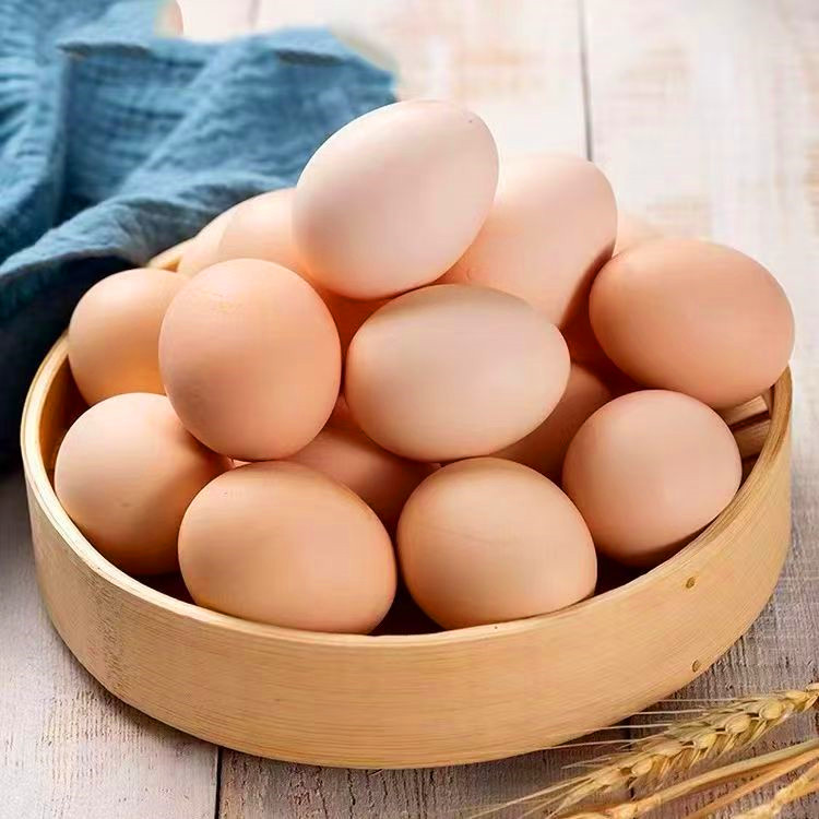 正宗农村散养土鸡蛋孕妇老人儿童健康美味土鸡蛋