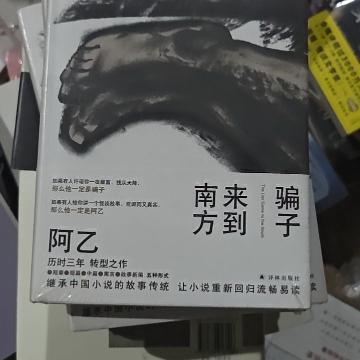 骗子来到南方阿乙精装塑封