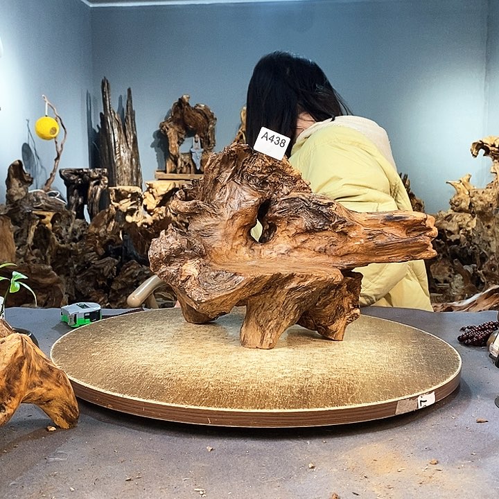 茶盏仁****法438株木随行的小根艺