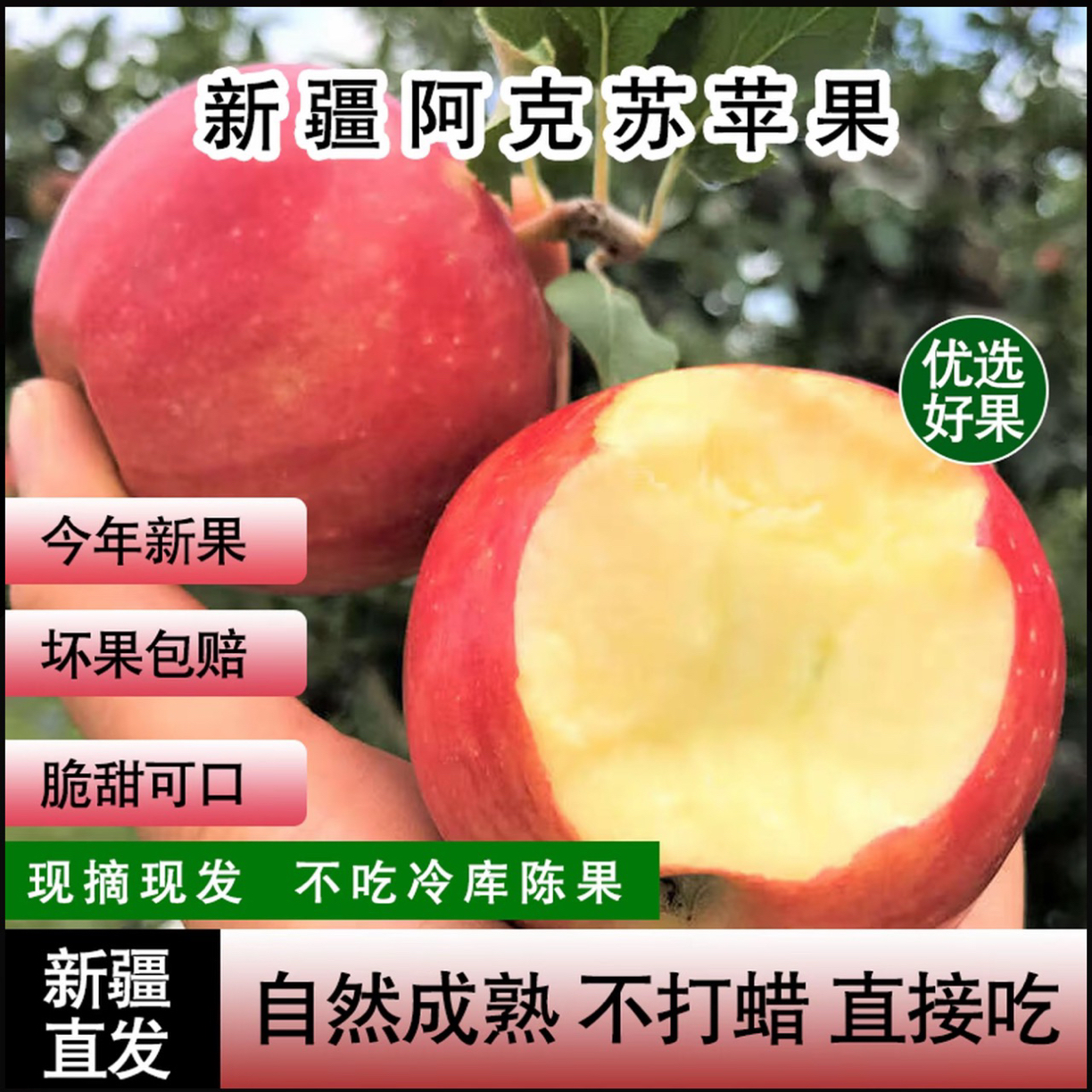新疆正宗产地红富士苹果当季新鲜脆甜多汁孕妇水果京东包邮
