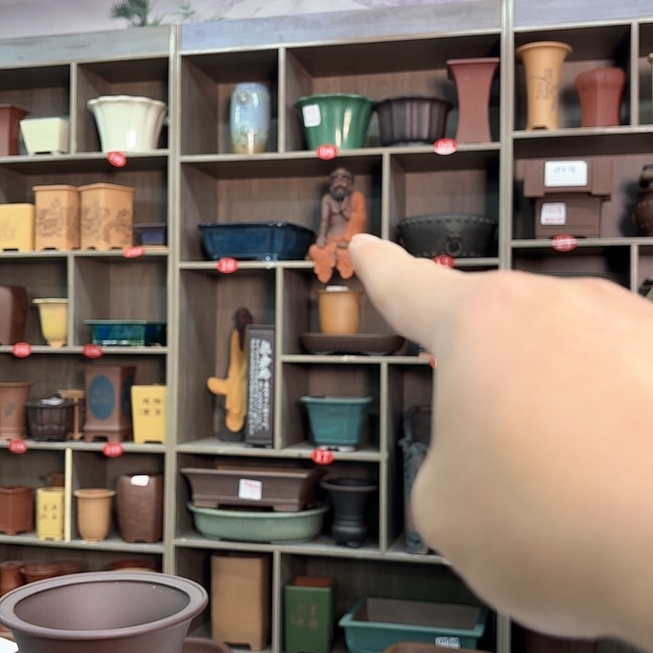 紫砂花盆沐**主紫砂的花也太美