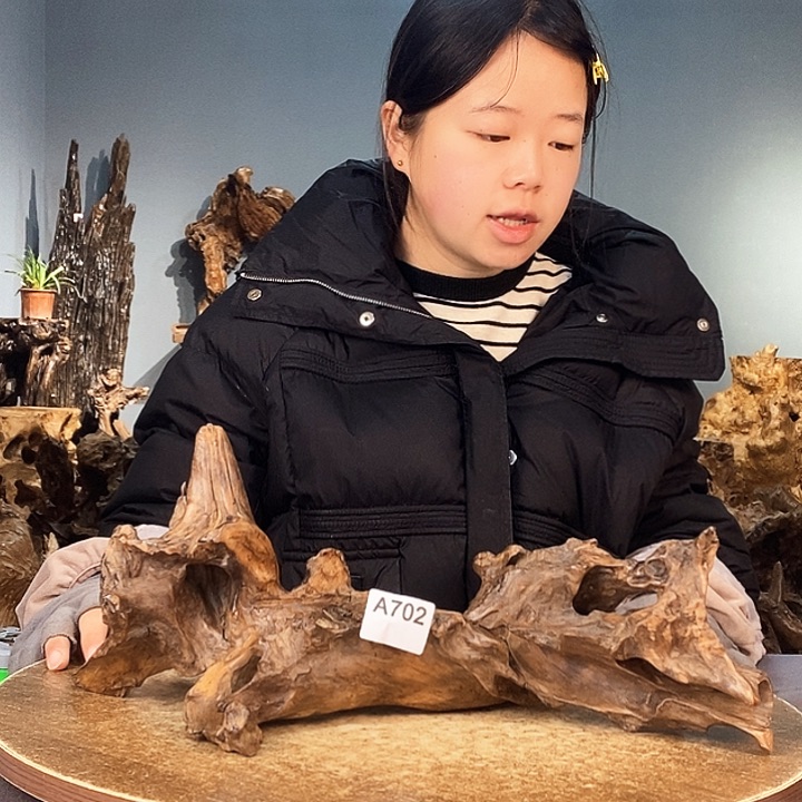 茶盏用****0702株木的随行的根艺