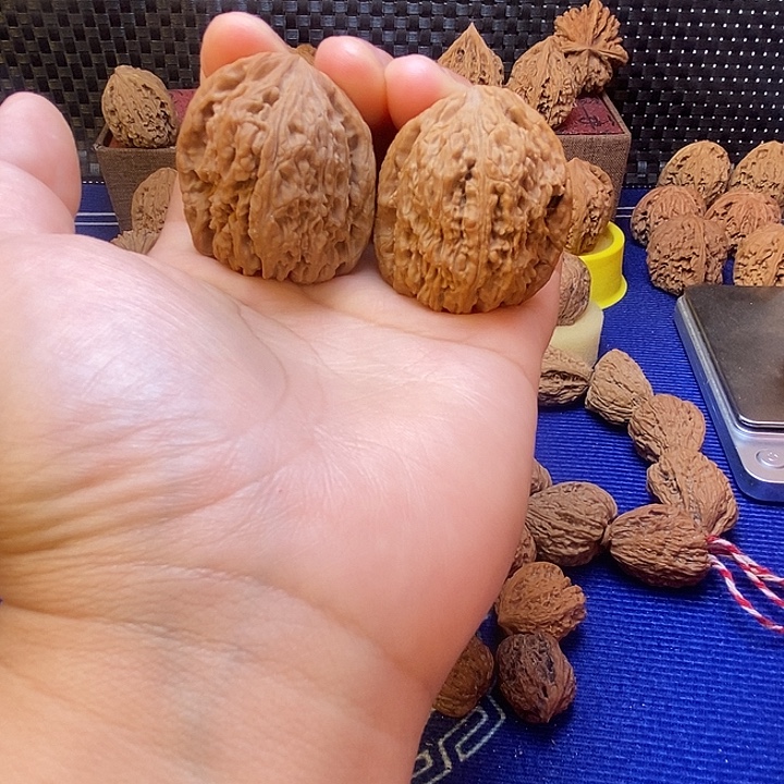 南疆的37尺全品的