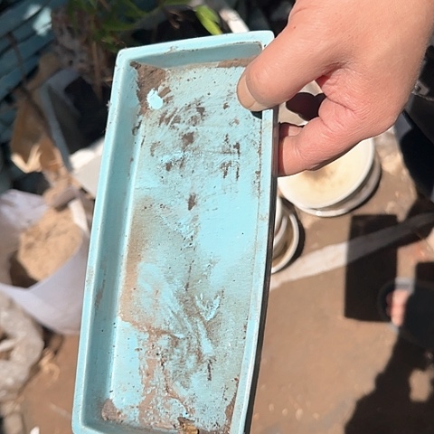 瓷片国营厂库存微瑕22-23厘米