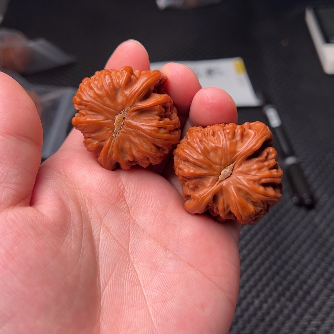 文玩核桃把件43白狮子