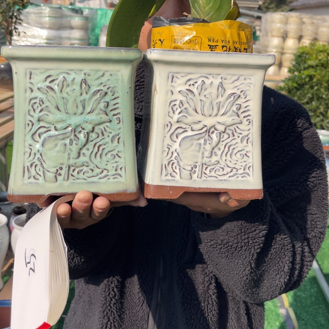 红陶彭于晏0216-1011