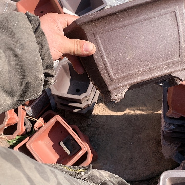 紫砂没有那么好吃我的人生也