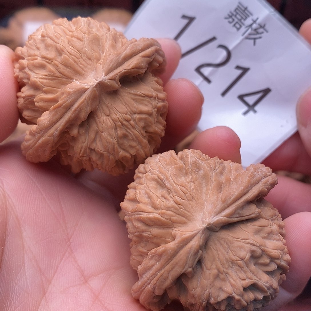 文玩核桃把件46全品白狮子