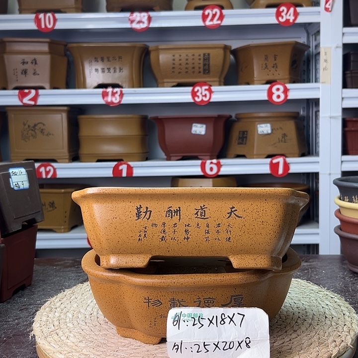 紫砂花盆蛇年大吉