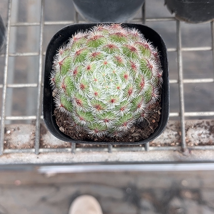 我也不知道我为什么要