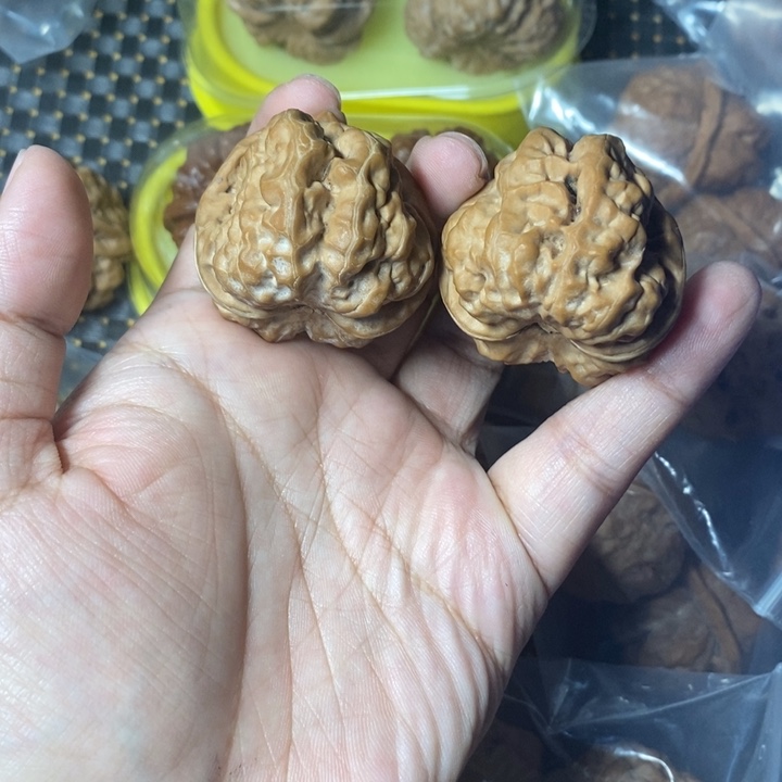 把件文玩核桃蛤蟆40全