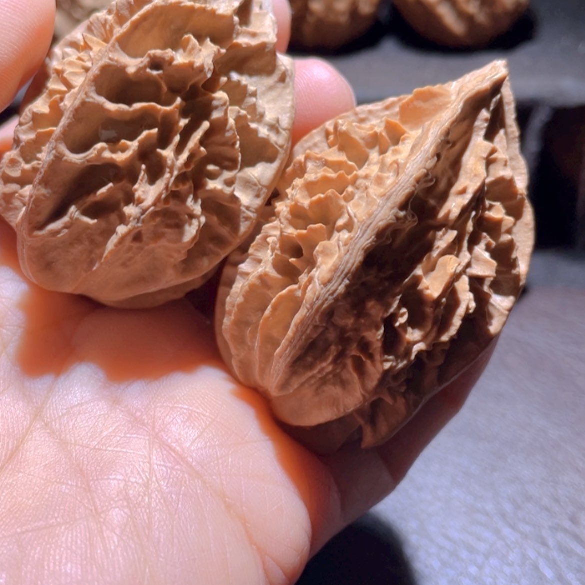 【闪购商品】文玩核桃把件龙*兔东北楸子27
