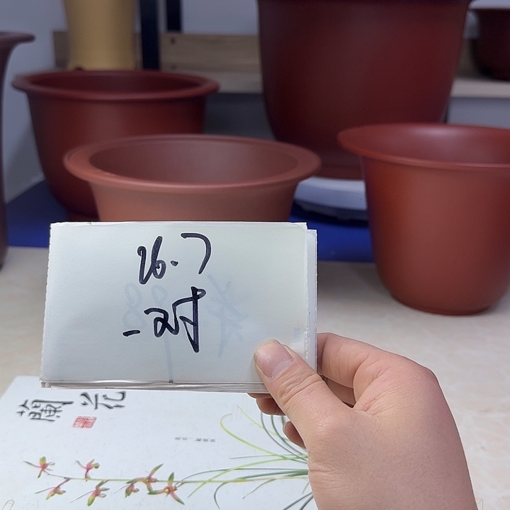 感***你春秋花盆精品兰盆