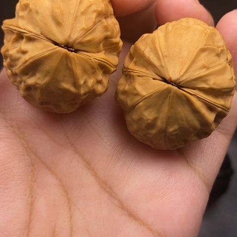 文玩核桃把件39尺金龟