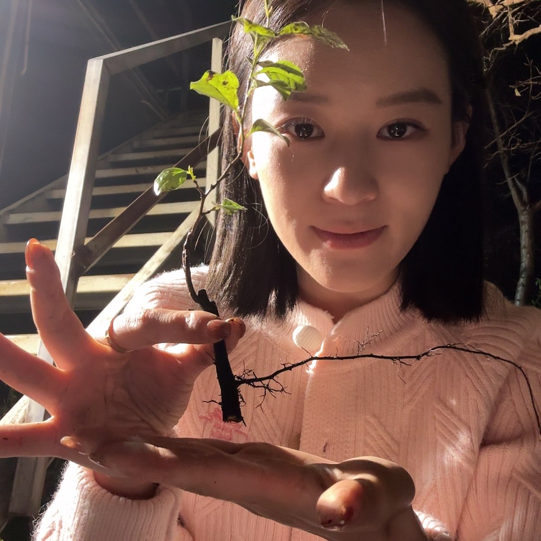 凡***恼哈哈哈哈哈立翅血红