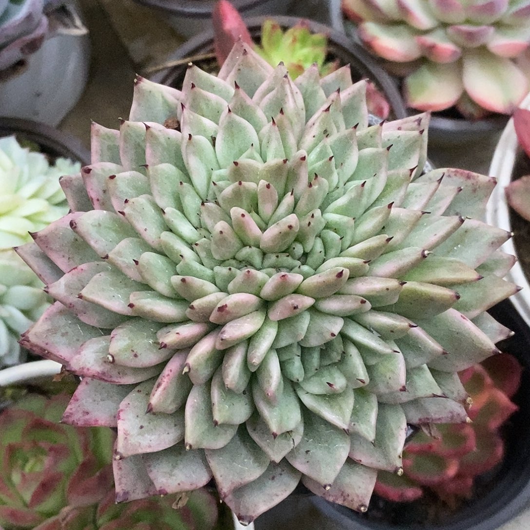 058哈哈哈哈哈哈哈