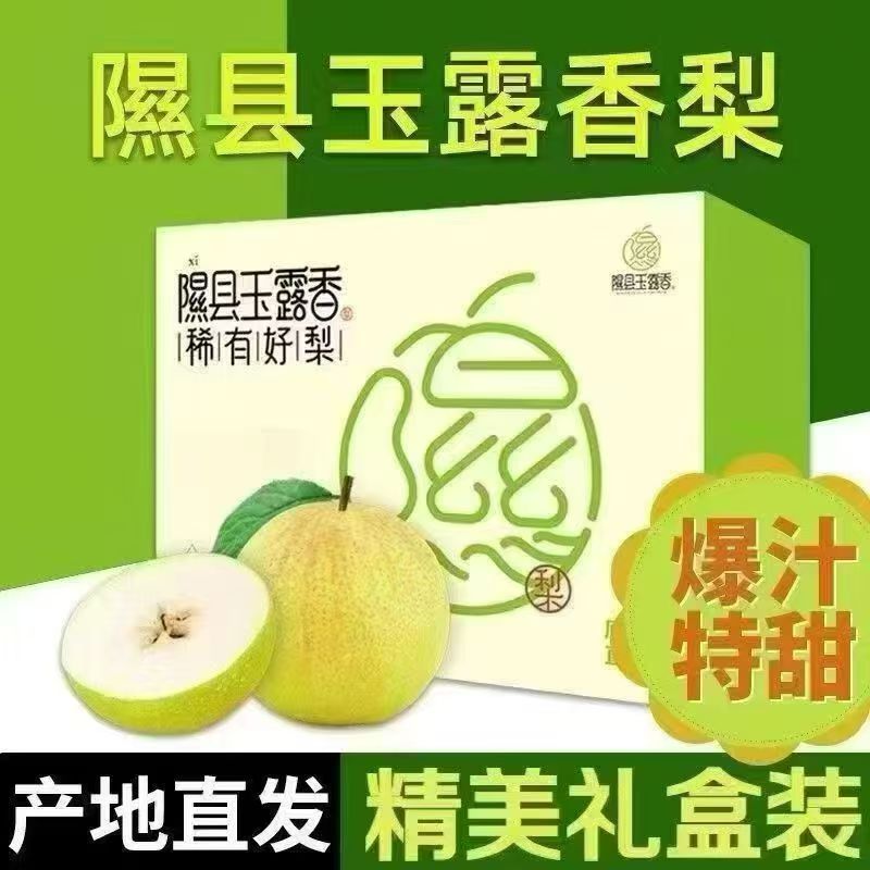 山西隰县玉露香梨新鲜脆甜多汁水果礼盒