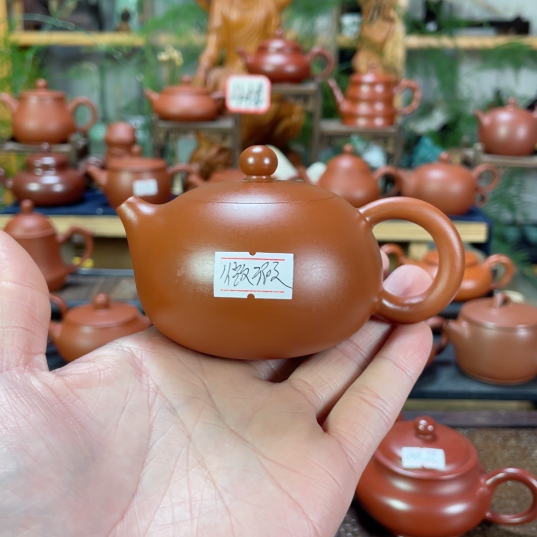 紫砂茶壶伟朱泥西施