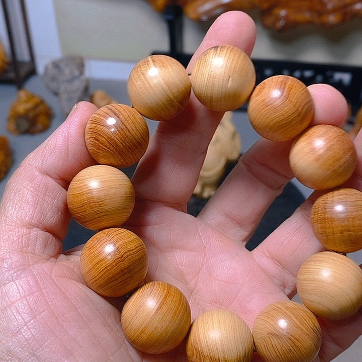 柏木（崖柏）太行大峡谷崖柏