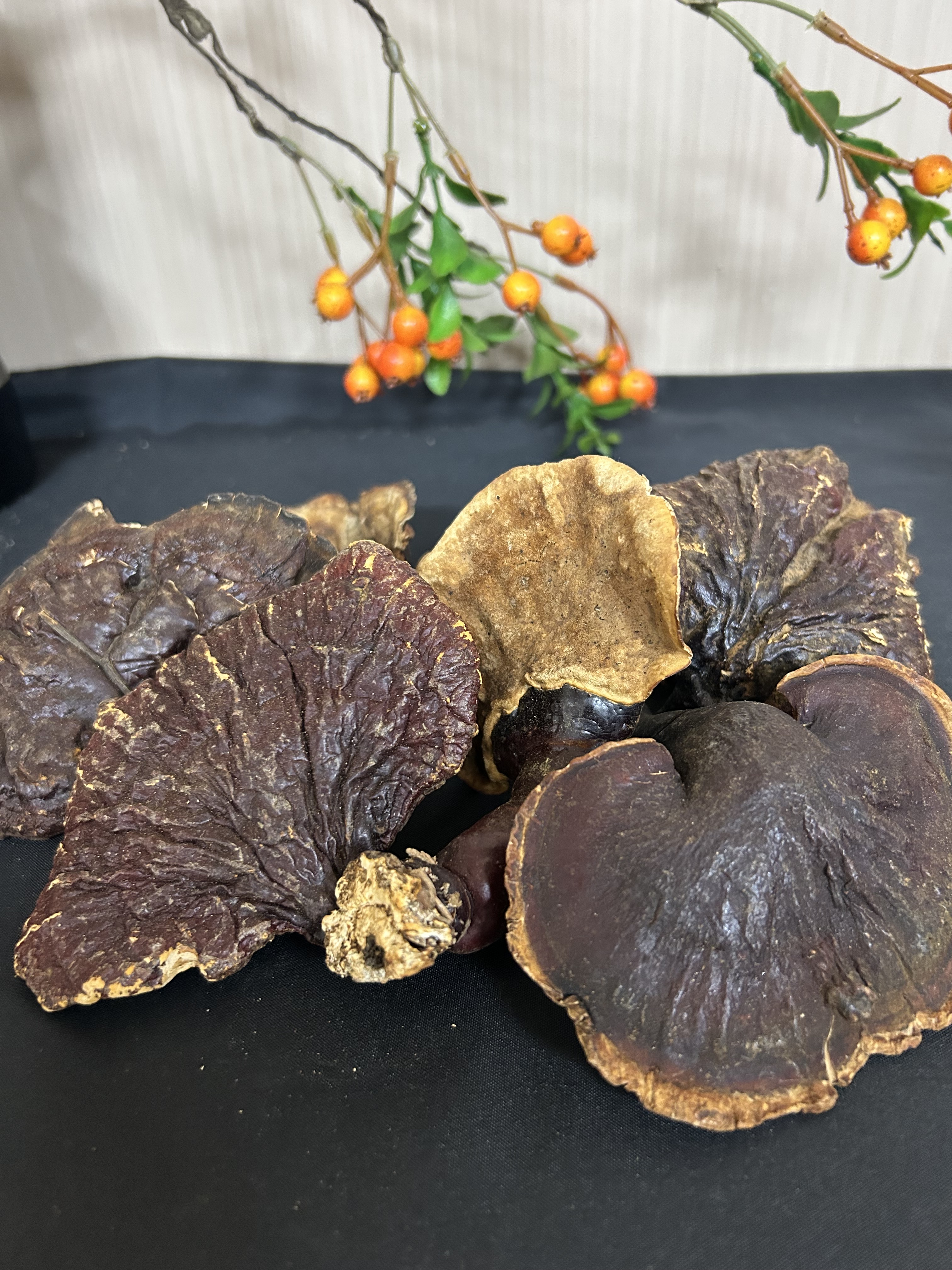 西藏天然灵芝 精选深山大自然生长 纯正无添加（散装农产品）250g