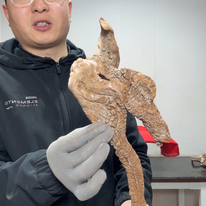 口***糖香榧木工艺品精选去1111