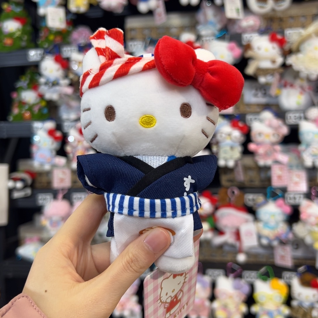 毛绒29，28，日式寿司kitty，眼镜粘好