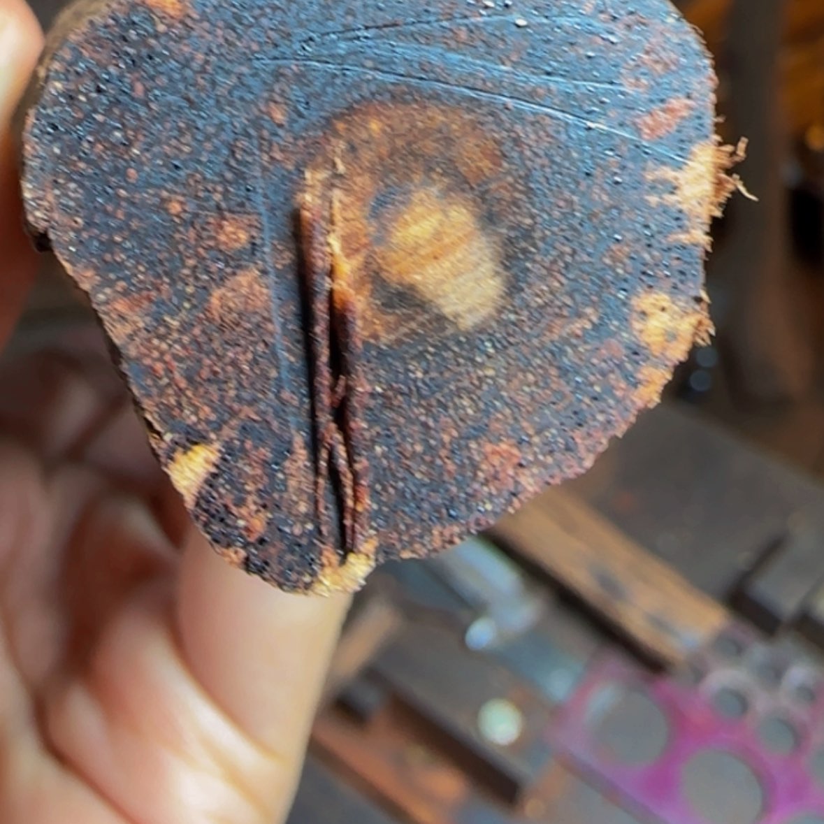 【闪购商品】降真香其他展*定制不退不换