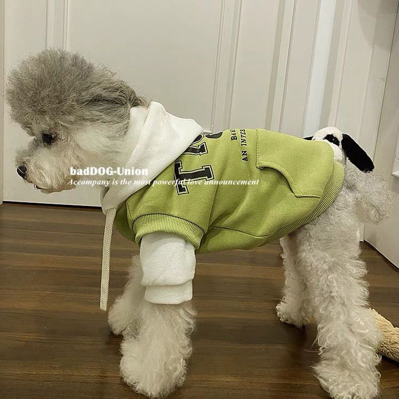 狗狗衣服秋冬季ins泰迪比熊小型犬马尔济斯可爱连帽加绒保暖卫衣
