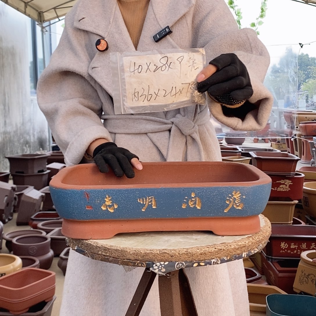 花盆紫砂紫砂花盆