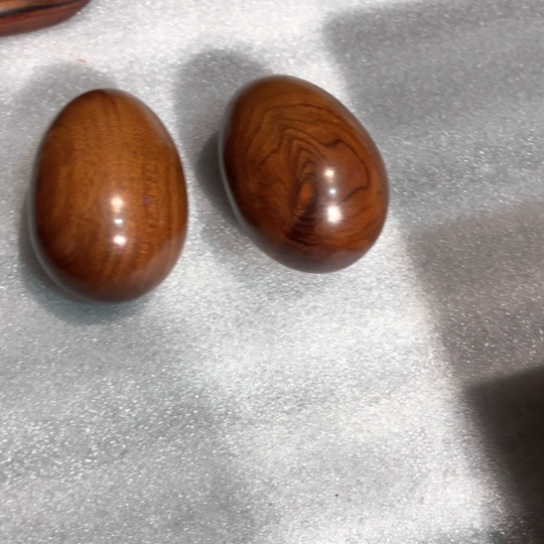 木与**伴木木木木木木木木