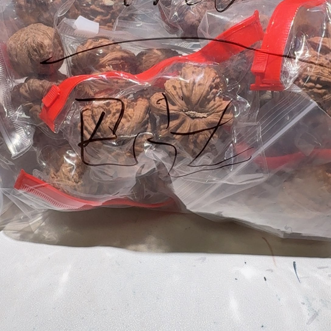 巴***达把件文玩核桃大礼包 不退不换